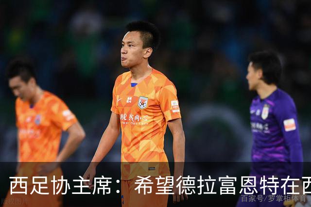 西足协主席：希望德拉富恩特在西班牙长期执教，当我们的弗格森